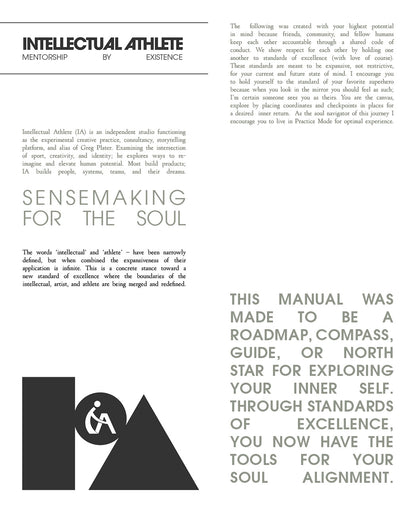 Standards of Excellence (ZINE)